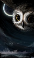 OWL NIGHT